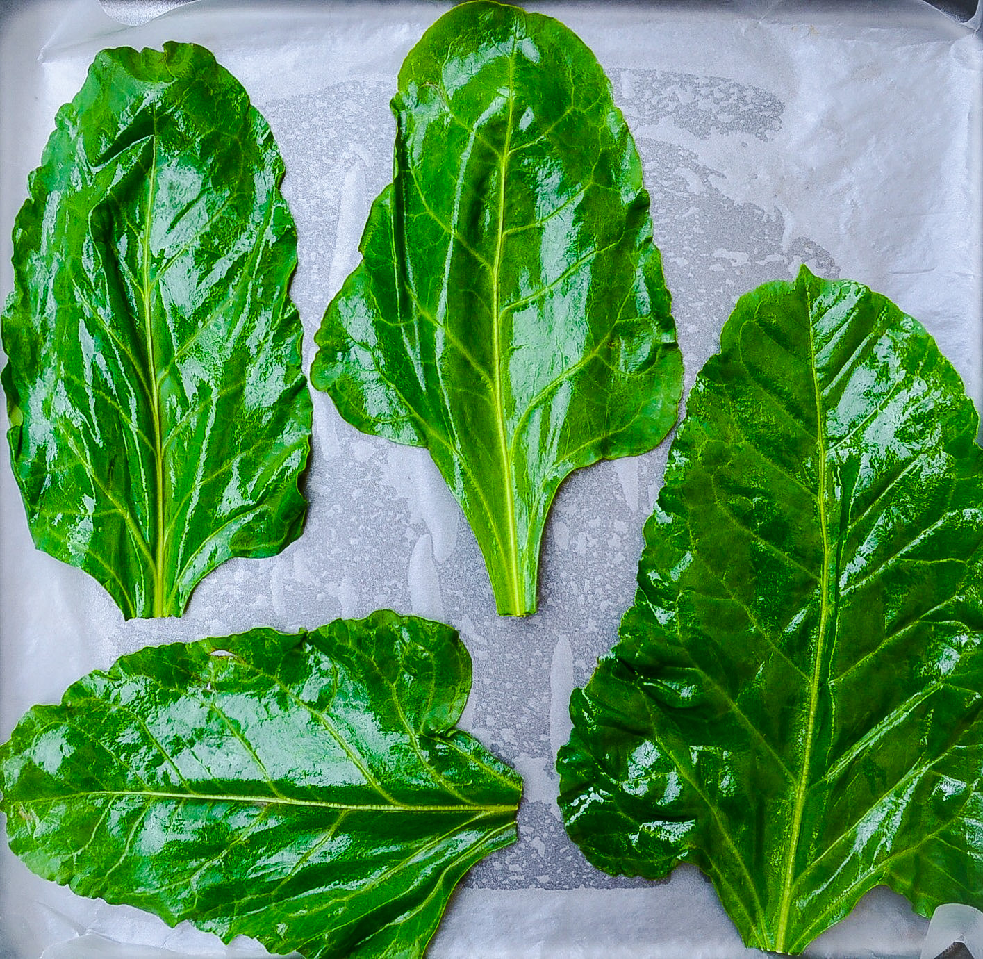 Crispy Spinach Chips 